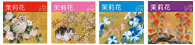 茉莉花／2017年