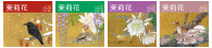 茉莉花／2020年