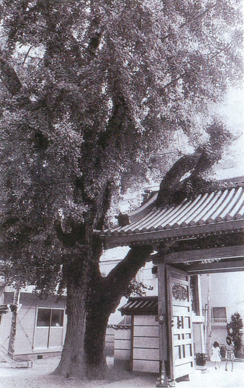 安楽寺