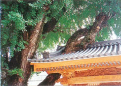 明福寺