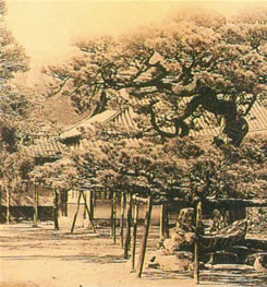 光明寺
