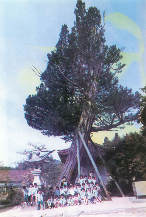 浄土寺