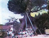 浄土寺